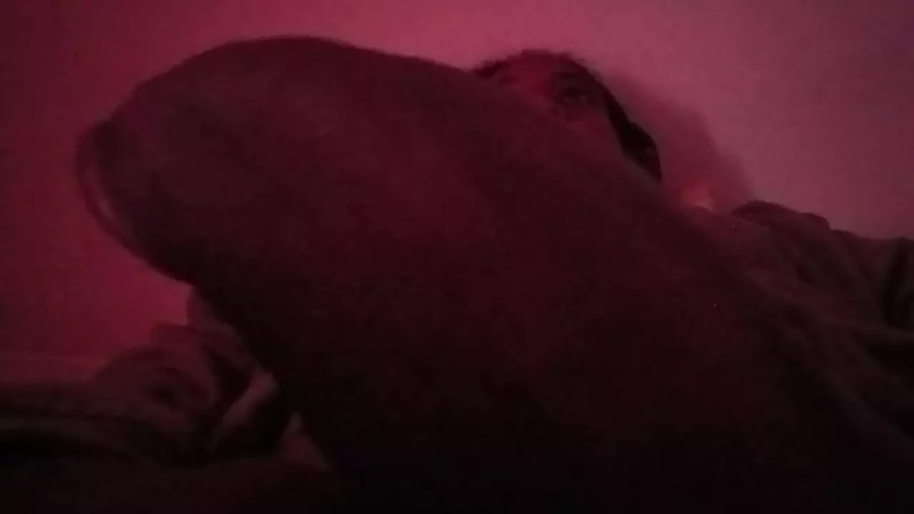 Batang besar hitam panas besar