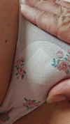 Pregled videozapisa