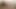 Black tgirls - 合集更新 25 年 10 月 6 日至 10 日