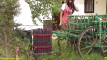 Pratinjau video