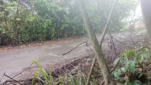 Public Handjob