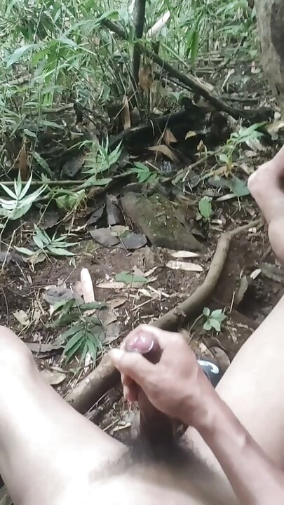 Soksoka in jungle