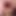 Japon anime cosplay megumin -
