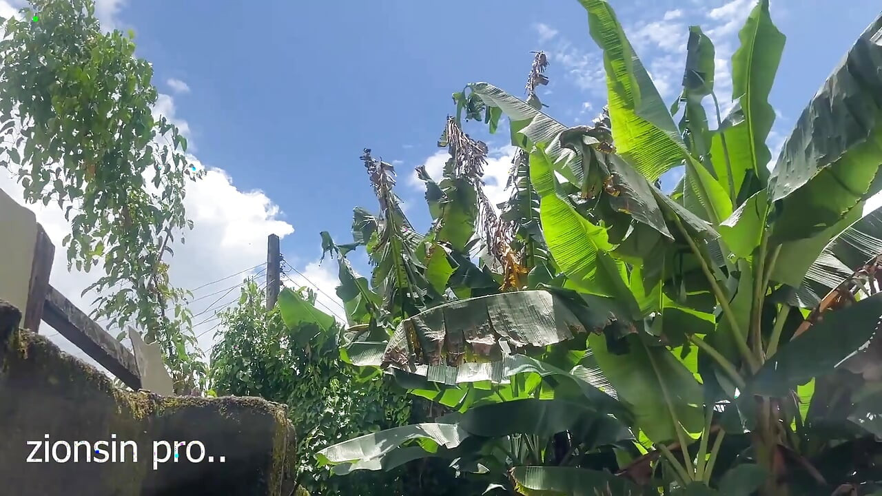 I Was so Horny That I Arrange a Backyard Fuck Date with My Landlords Stepdaughter in Our Backyard. It Turns Out so Smoothly.