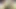 My small penis excites me, I want you to put it in me.