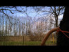 Pratonton Video