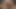 Virgin Pussy Sex Virgin Stepsister Real Tamil Homemade Indian Sex With Indian Bhabhi In X Videos