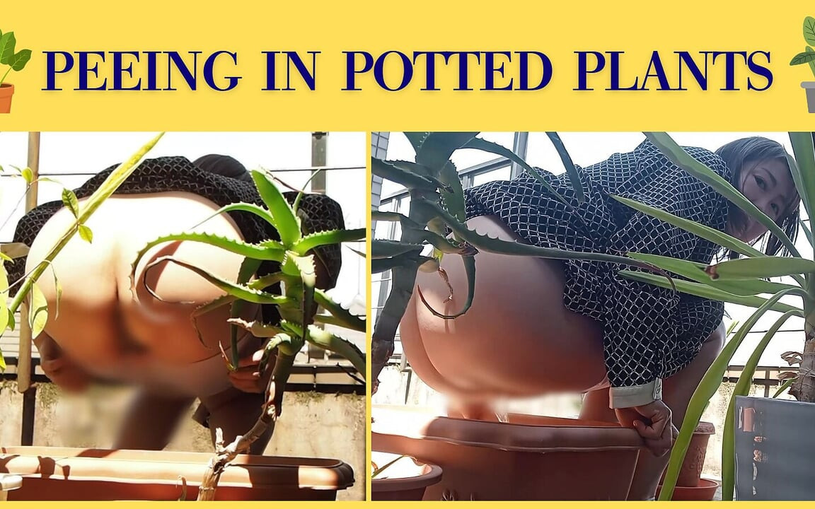 I Pee in the Potted Plant Again