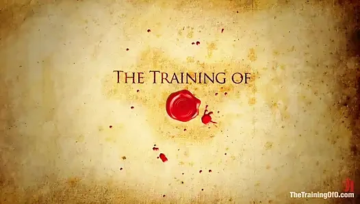 Sophie Monroe Day 5 Sexual Training the Hard Way