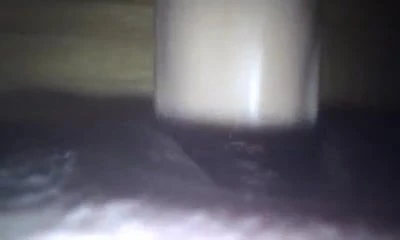 Dildo