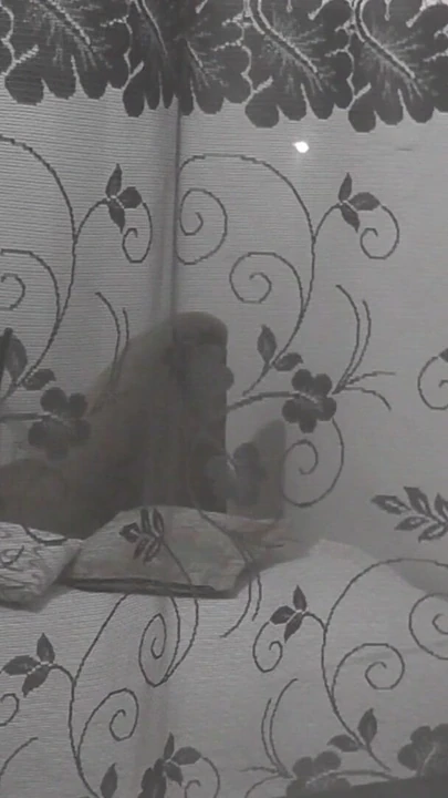 Key moment from "Public. Boy neighbor peeps on masturbating MILF through an opemn window"