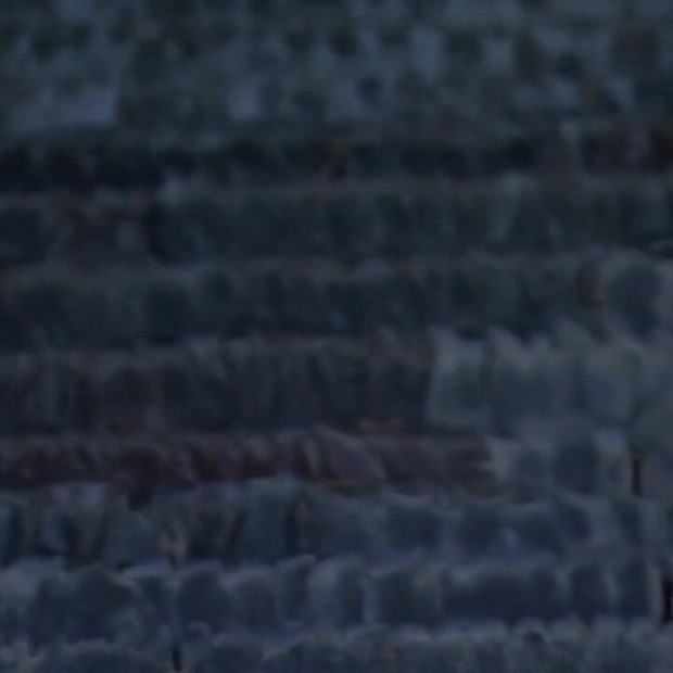 Ludo voli moj veliki tvrdi kurac...