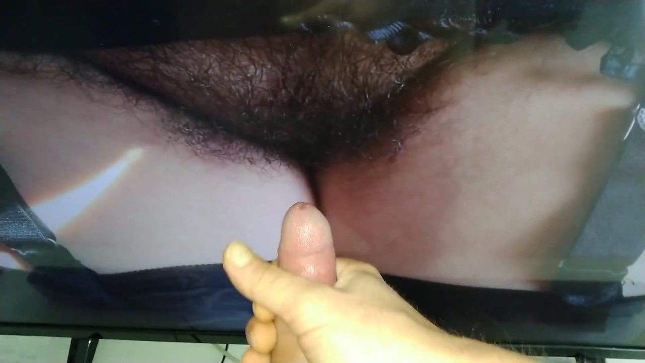 Tribute Beacoquine 2