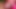 Isteri menakjubkan orang asing dengan kelipan bikini merah jambu panas