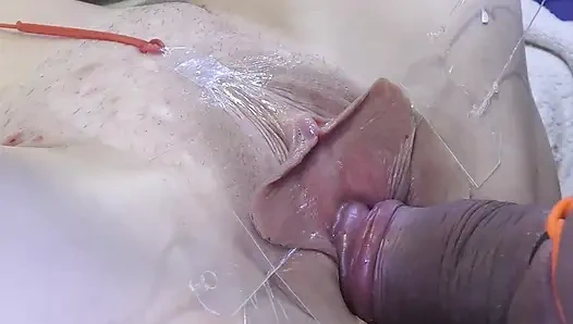 5 Чёртов Пуси Растянуты Далеко Вблизи