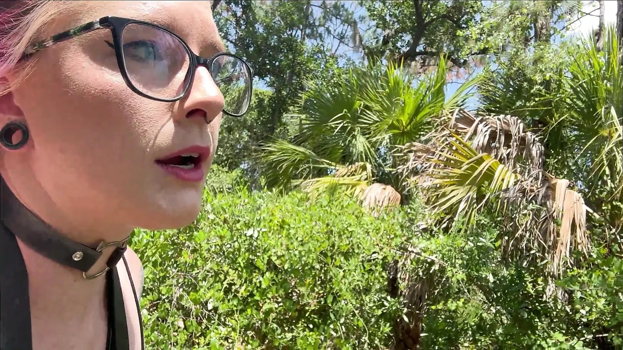 Full Day Video