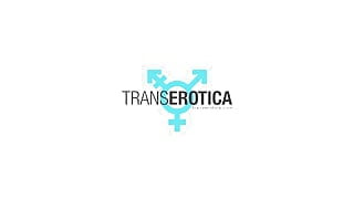 Trans Erotica