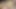 I fuck my horny Indian in the backyard of our house while we are alone