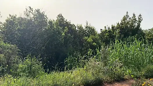 I Have Outdoor Sex with Perfect Body Latina I Find on the Street - Lola Bratz