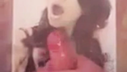 Atributo de badassazz obrigado