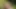 Naked Wank In The Woods