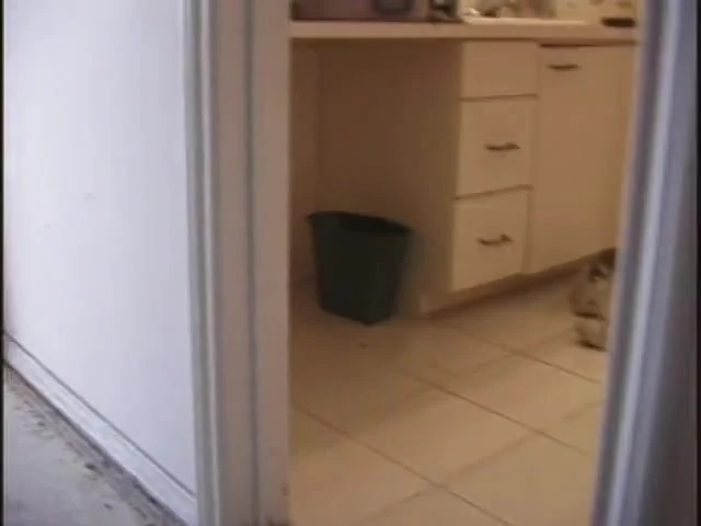Young whore sucks cock while getting pussy licked
