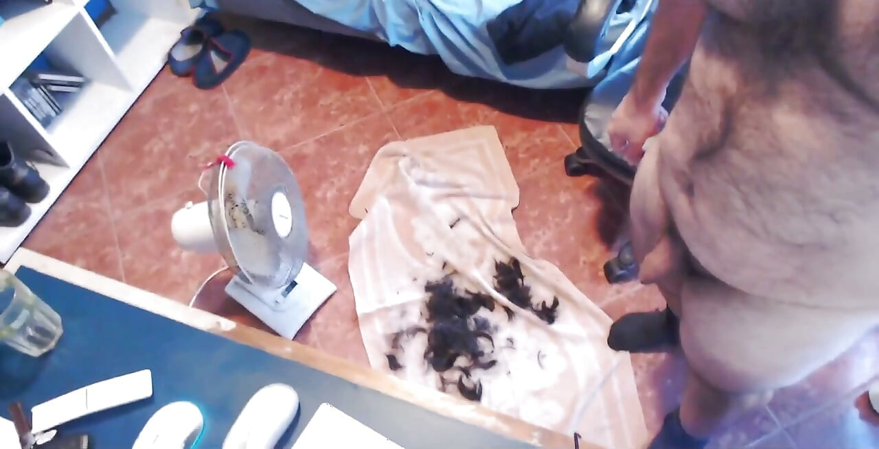 Shaving