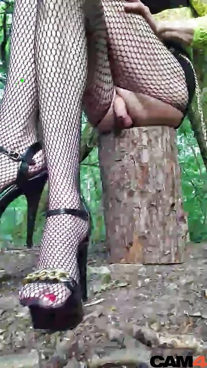 The Cigarette Break of a Transvestite College Teacher, in a Park. Cam⁴ Vanessabitchx Parischiennetrvprod⁹¹