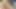 Ünlü porno yıldızları ateşli üçlü grupta yarak paylaşıyor ve döl değiştiriyor