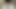Big Dick precum