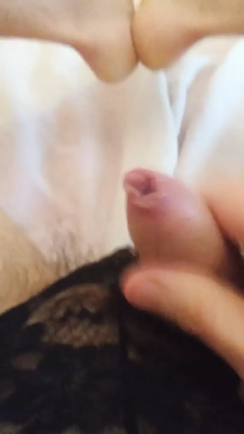 Enorm spermasprut Sissygasm