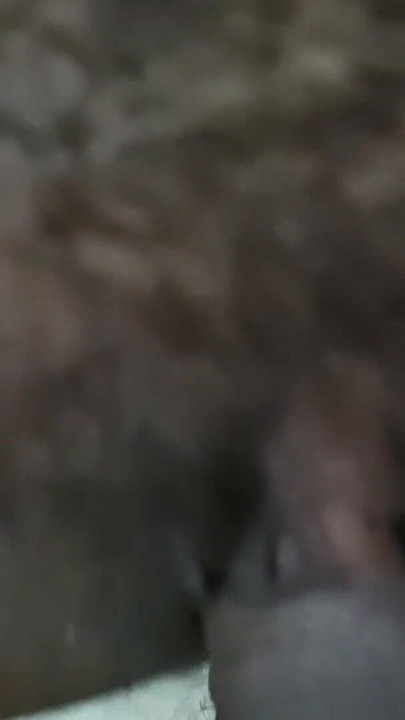 Epic moment from "Indian desi bhabhi husband wife ka desi sex videos"