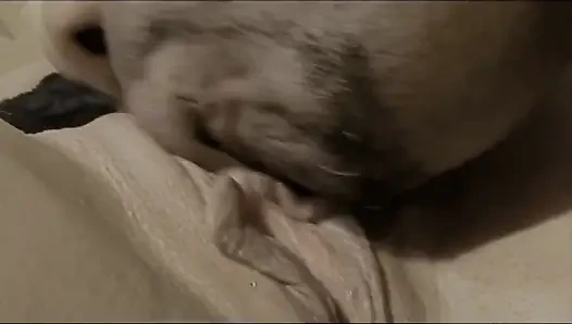 A Date at the Black Guy's House to Get Fucked on the Couch