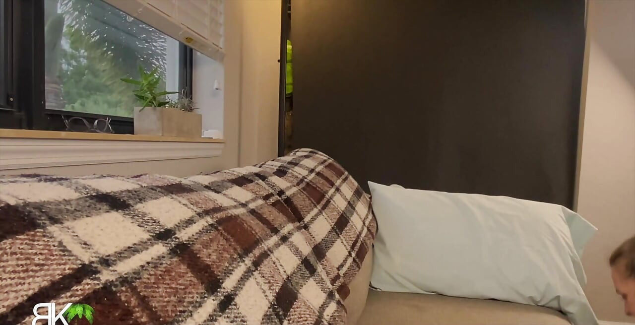 Stor röv fastnat i soffan!