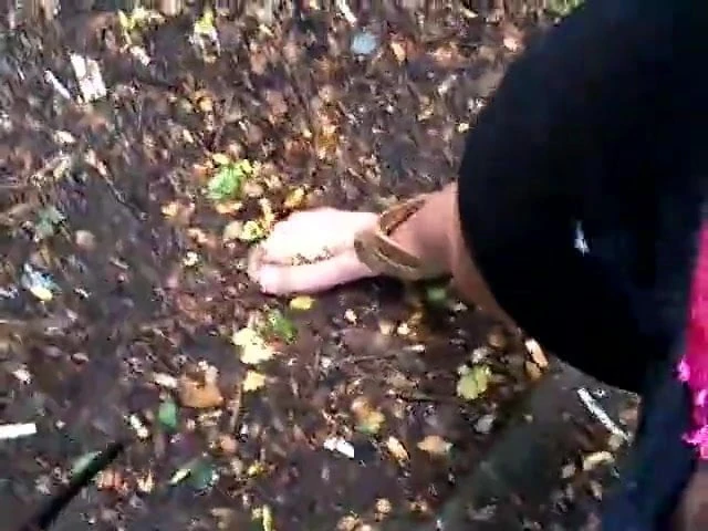 Outdoors Handjob