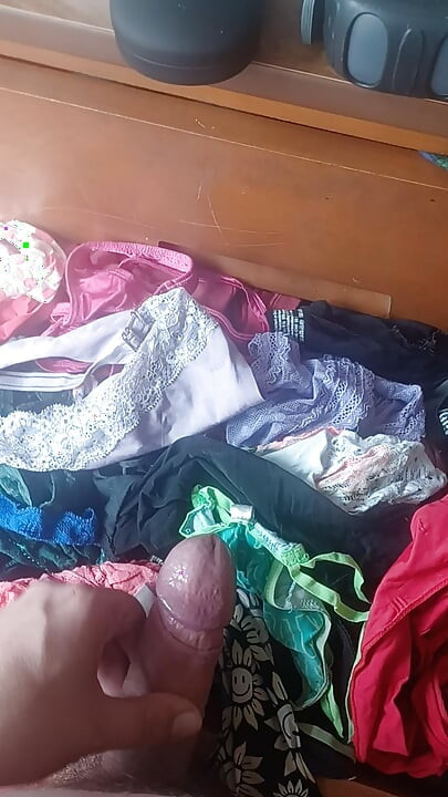 Ladica za gaćice cimerice