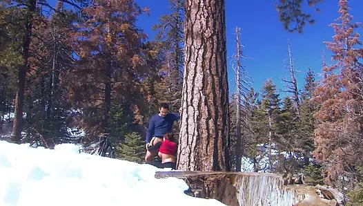 Wunderbares schätzchen mit dicken titten wird im freien geschraubt