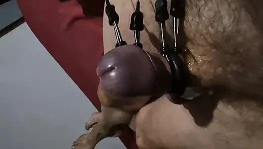 Four electrodes on et312 enchant my penis