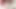 Petite Trans Woman Sucking Huge Trans Cock POV