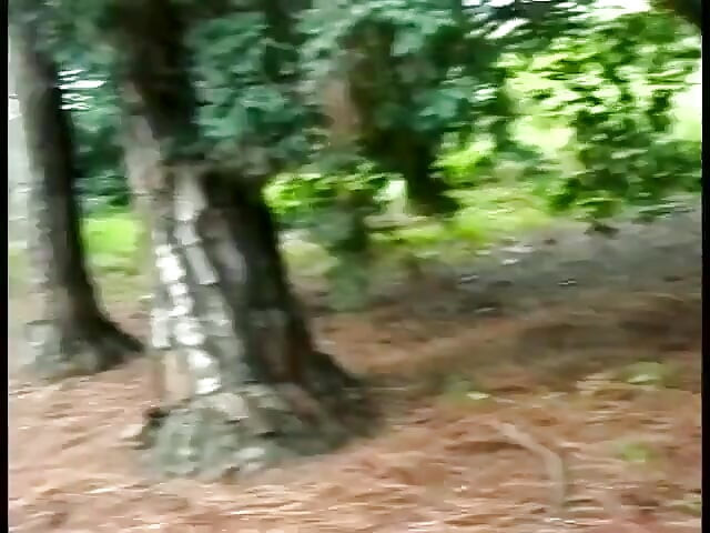 Seks berempat di hutan dengan dua lelaki she-jantan