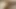 Büyük siyah şişman kedi gets becerdin ve kapalı ile boşalmak