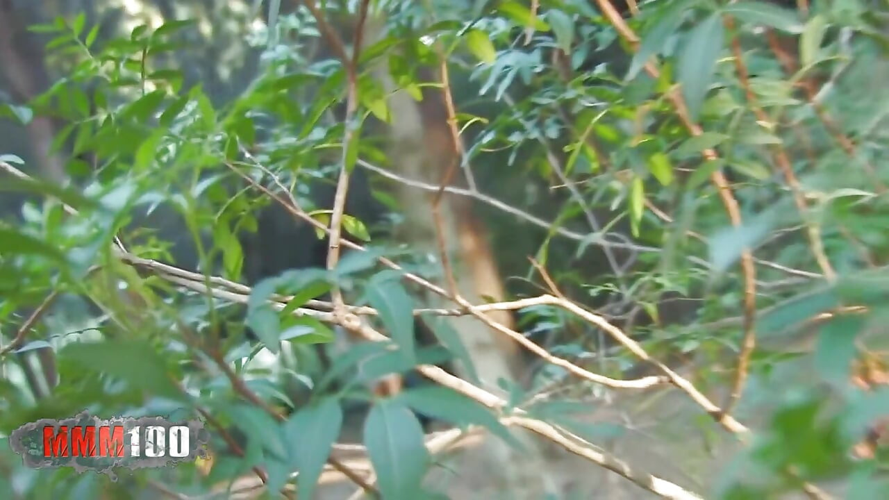 Nataly Divine larki apne boyaphrend ko lakri men choos rahi hai, taakaajhanki karne vaale dvara shoot kiya gaya