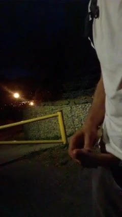 Masturbating on the street.