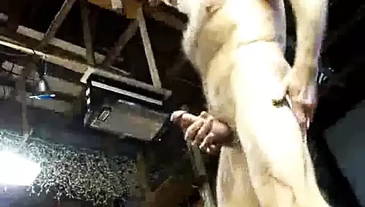 Kas boşalması