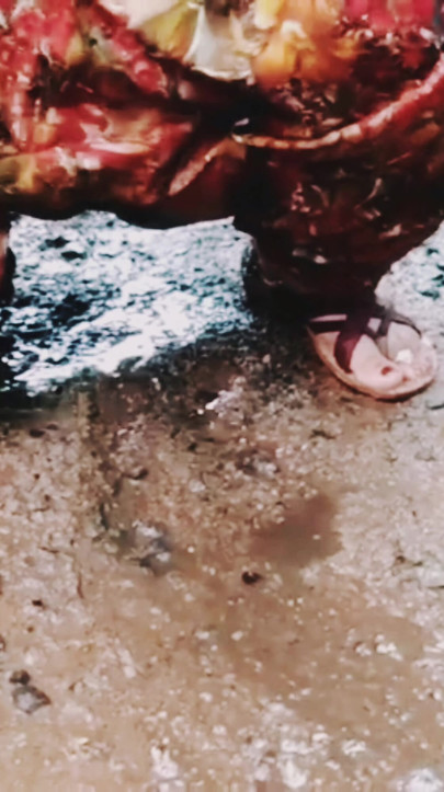 Desi Bhabhi Peshab kar rahi thi