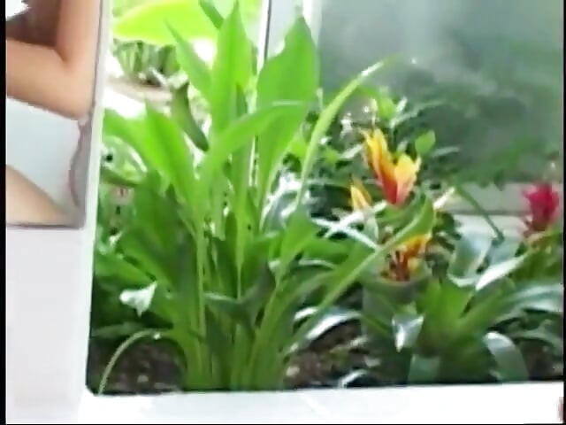 मोठ्या स्तनांची सेक्सी एशियन रिमजॉब, हेड देते आणि ड्रिल होते