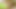 Saori in grünen Dessous reibt Penis mit Füßen