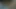 Ateşli evli kadın emiyor, ateşli evli kadın sikişiyor