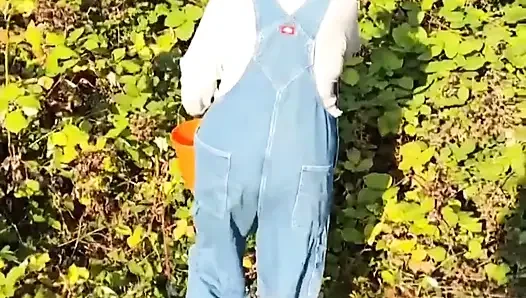 Time to Pick Blackberries