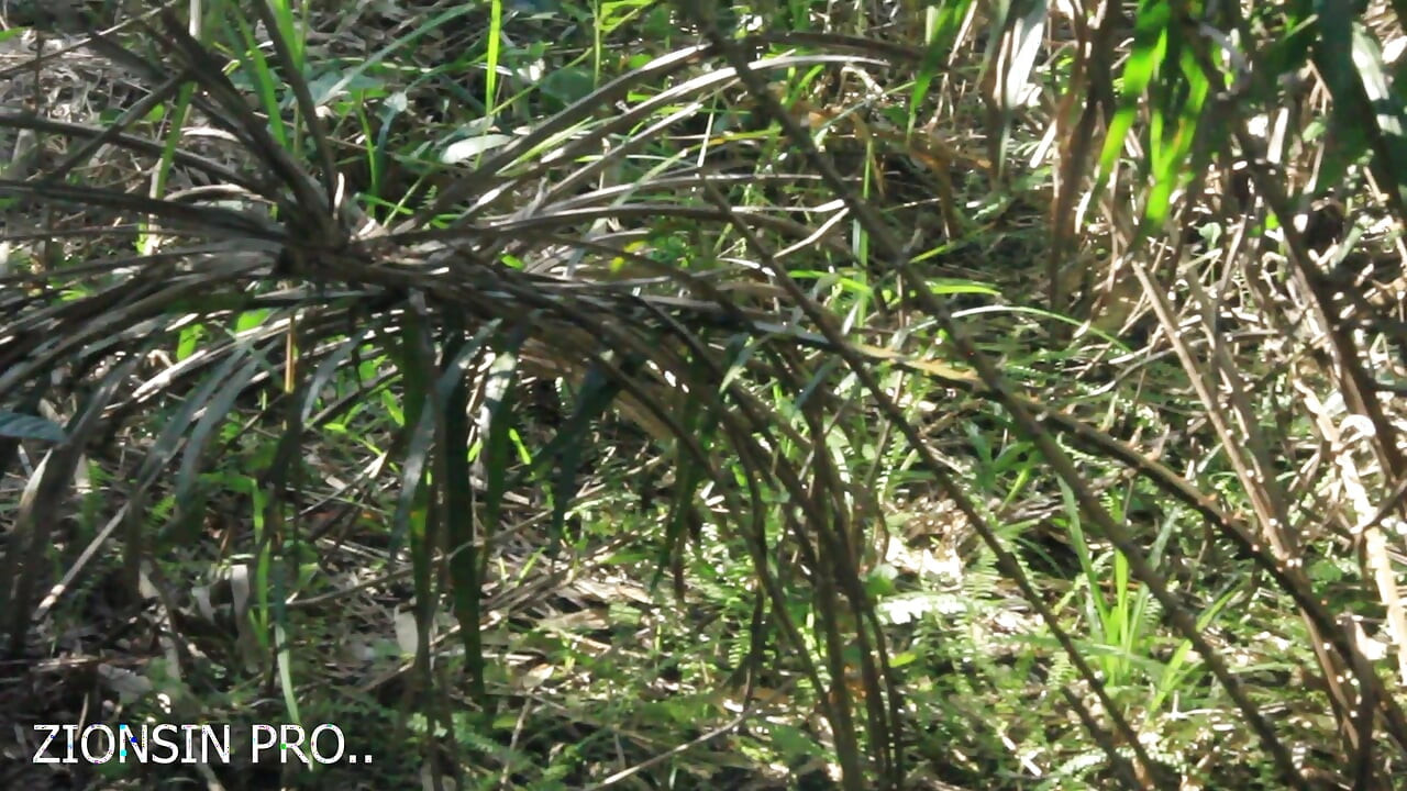 African girl in search of firewood in the bush got fuck by a bush man